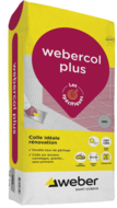 WEBERCOL PLUS GRIS 25KG GRIS GRIS